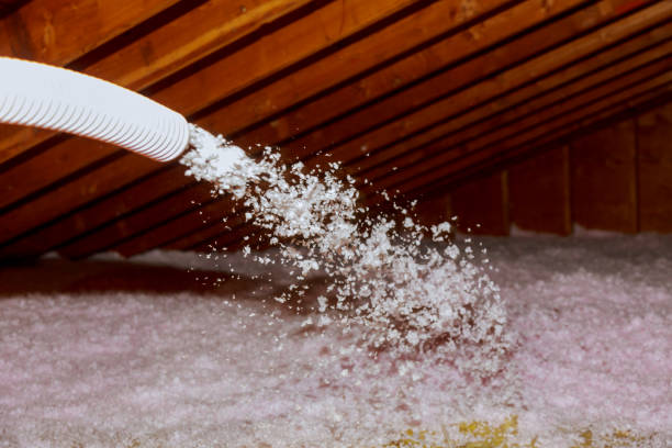 Best Specialty Insulation in Vilge St George, LA
