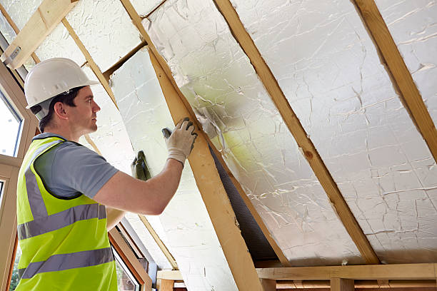 Best Insulation Maintenance and Repair in Vilge St George, LA