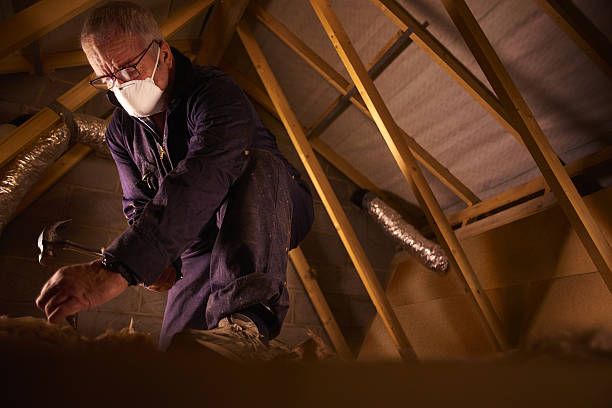 Best Insulation Maintenance and Repair in Vilge St George, LA