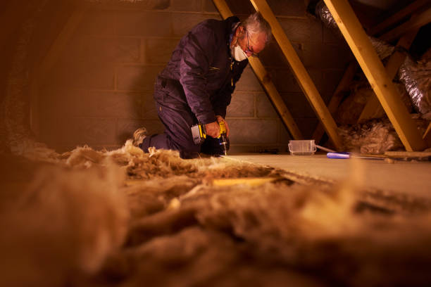 Best Energy Efficiency Solutions in Vilge St George, LA